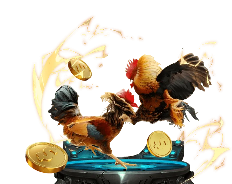 Các cấp độ thành viên VIP